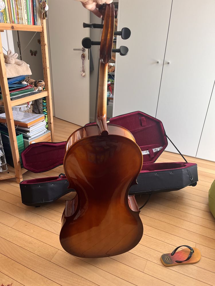 Violoncelo tamanho inteiro (4/4)