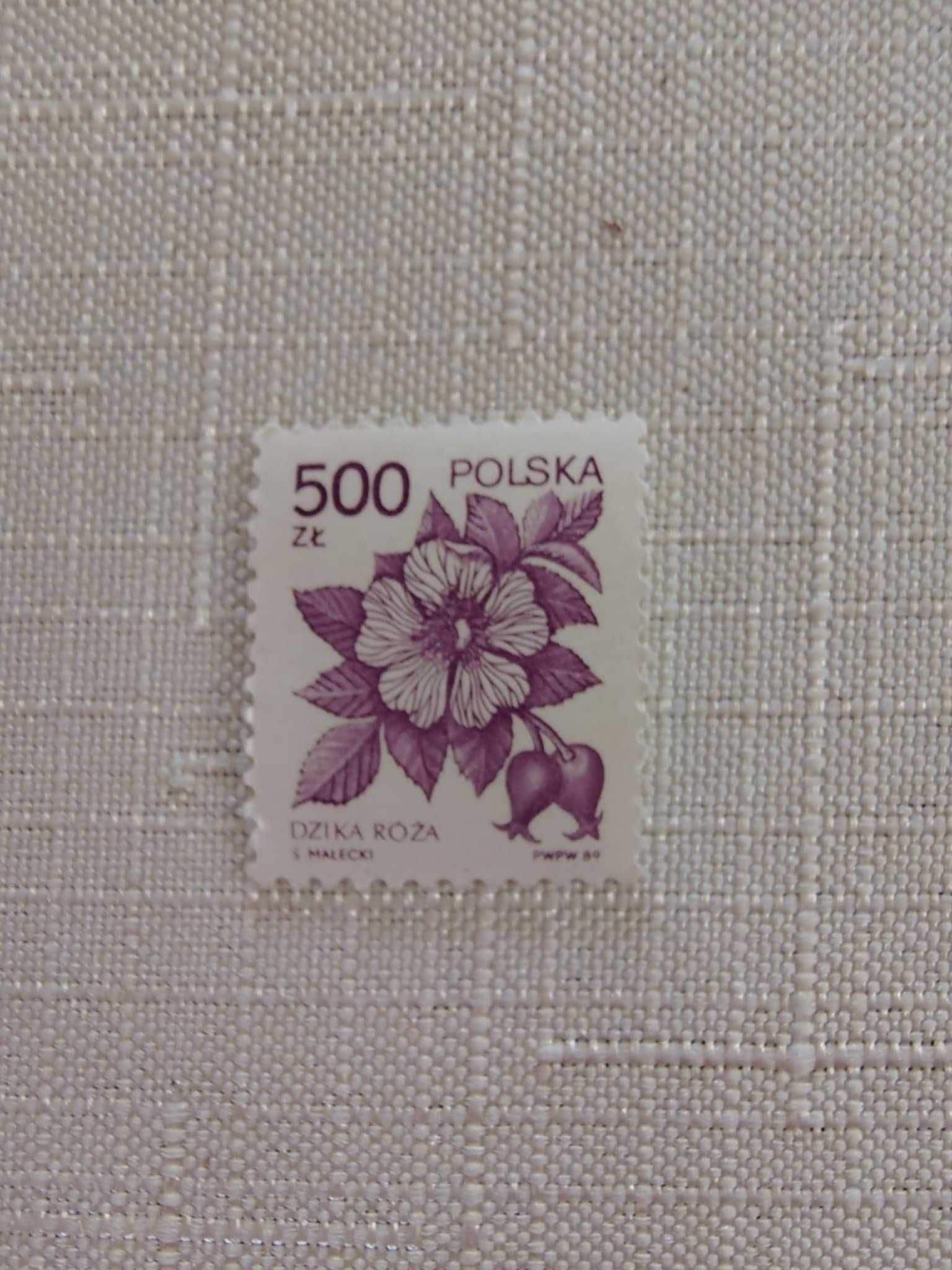Stare znaczki pocztowe: Polska 3500 zł z orłem z 1919