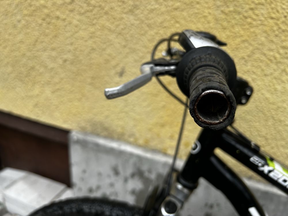 Rower dinotti 24 cale
