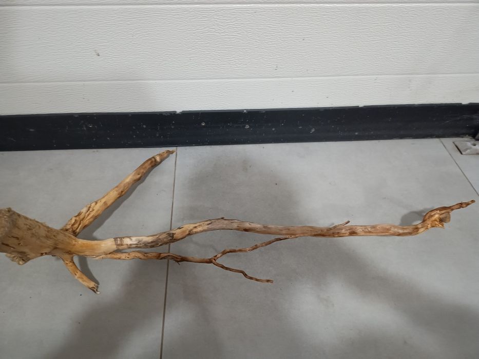 Długi, ciekawy naturalny korzeń do akwarium
