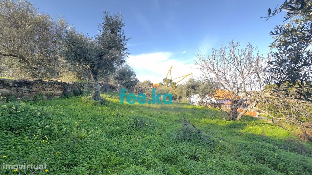 Terreno Rural em Cebolais de Cima