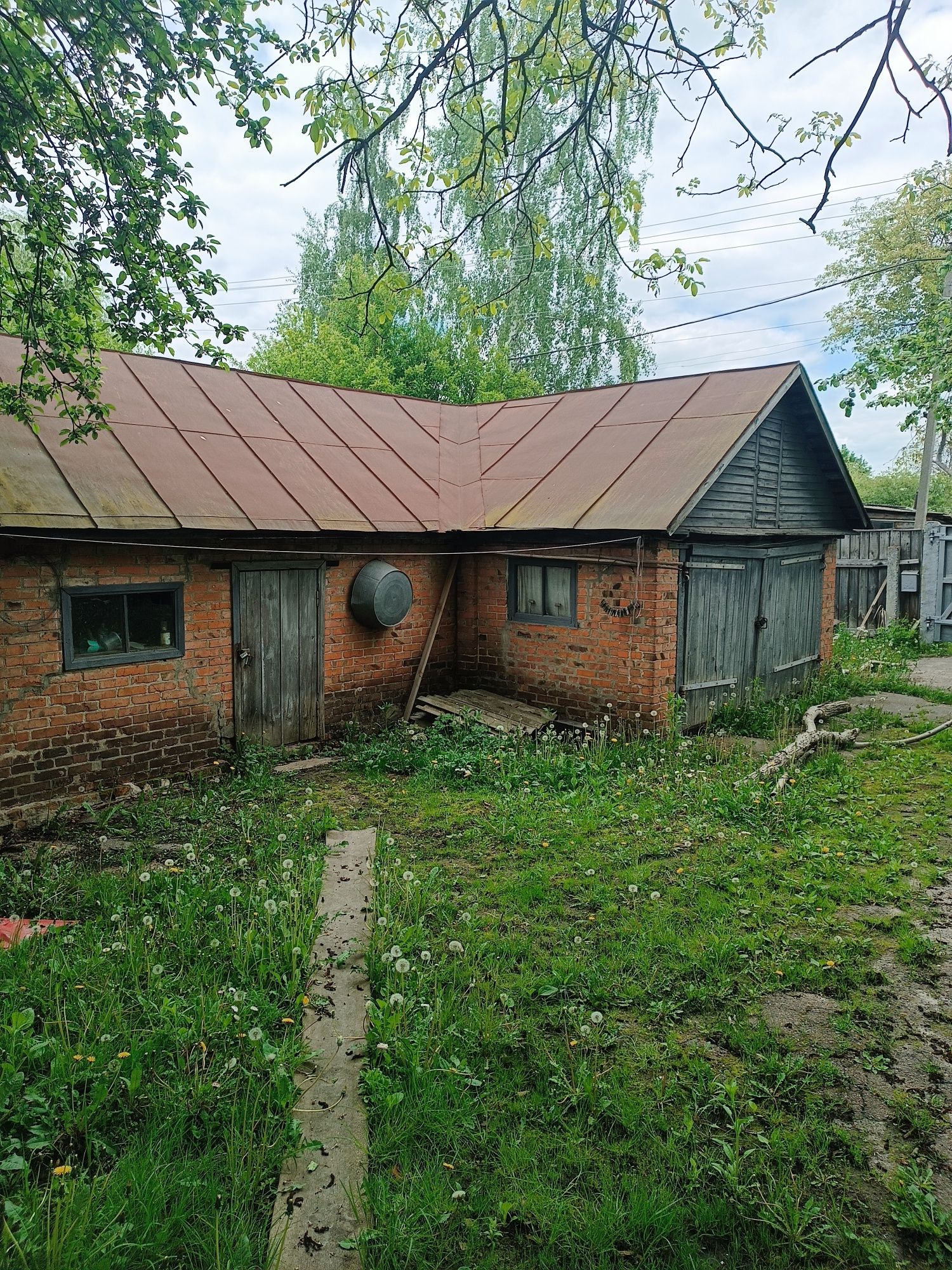 Великий будинок, Обласна лікарня, 15 сот землі