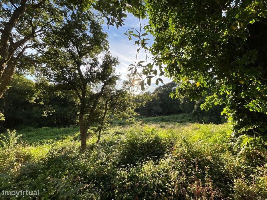 Terreno para Construção em Esposende