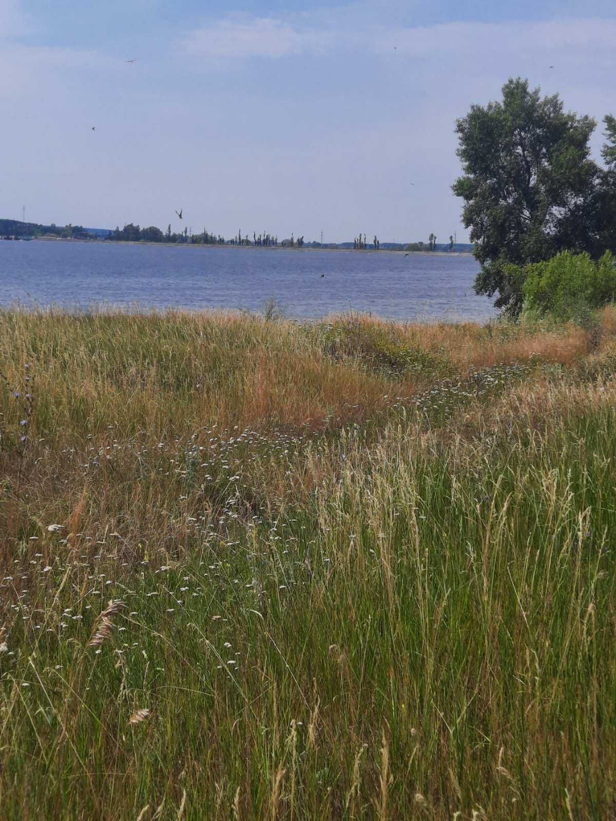 Вихід до води, Козаровичі, 120 соток, для садівництва.  Гарне місце