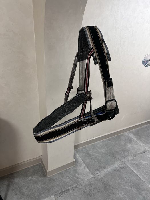 Шлея на коня. Передок на коня