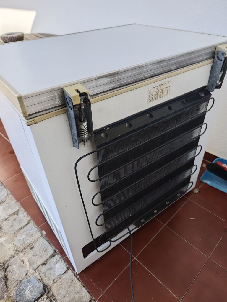 Arca congeladora