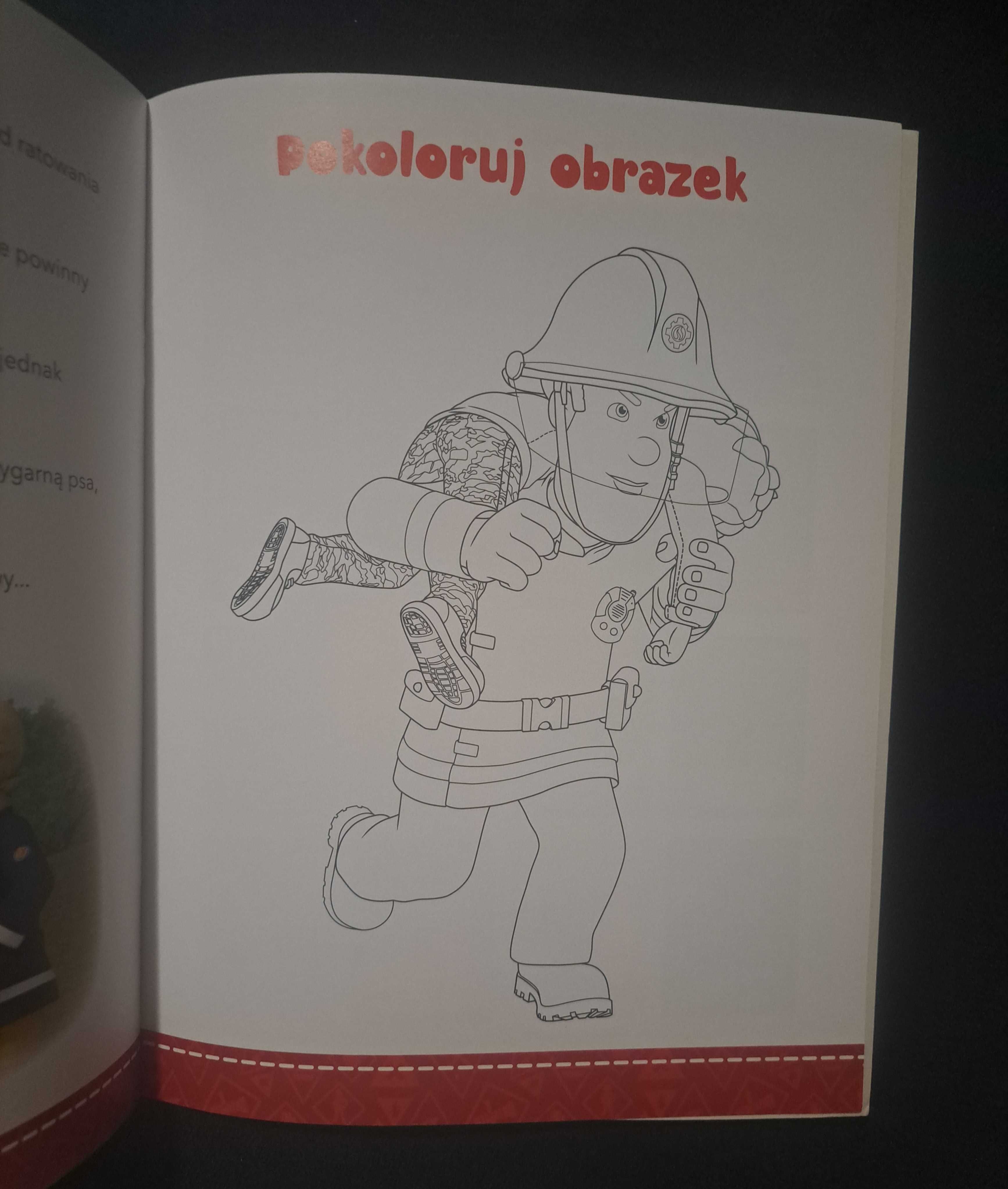 Książka Czytanki naklejanki. Katastrofa pod psem. Strażak Sam