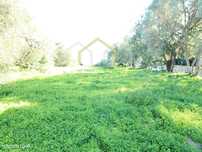 Terreno Central em Almancil - Oportunidade!