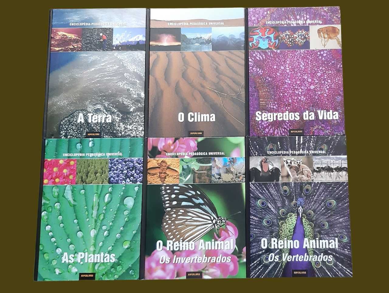 Enciclopédia Pedagógica Universal composta por 24 volumes