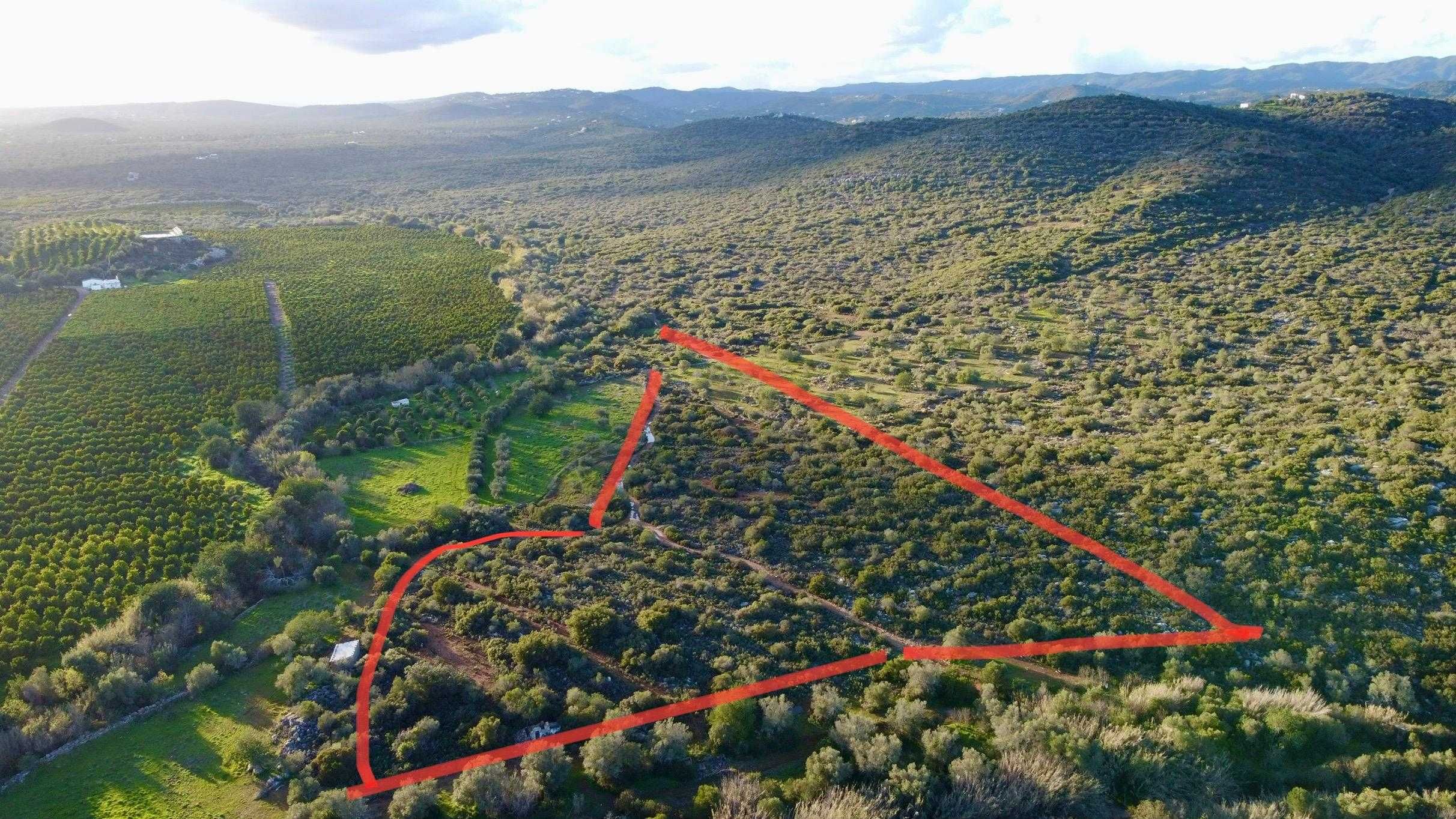 Terreno Rustico Algarve 19500m2
