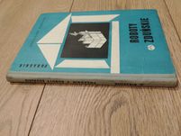 Roboty zduńskie - Apolinary Birszenk, 1966