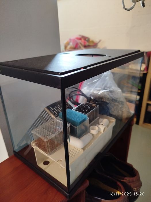 Aquário com motor, acessórios e decoração