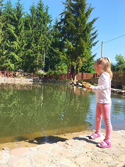 Новий рік Різдво Подобово в ШАЯН БАНЯ будинок Закарпатье Карпаты