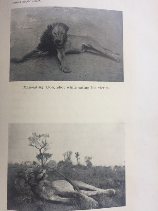 RARO Big Game Hunting in Central Africa.1aEd.1912.J.Dunbar-Brunton