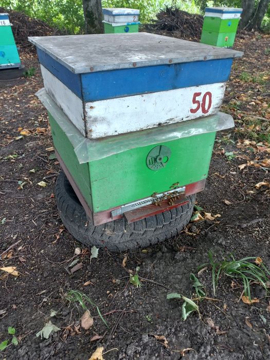 Продам вулики 10 рамочні на рамку Рут