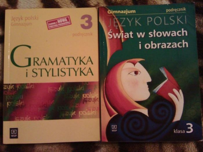Świat w słowach i obrazach Gramatyka i stylistyka Polski 3 gimnazjum