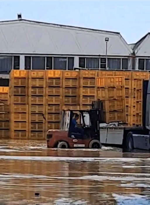 Новий електричний навантажувач EFL252 Li-Ion, 410Ah, 2.5т, 4,8м кабіна