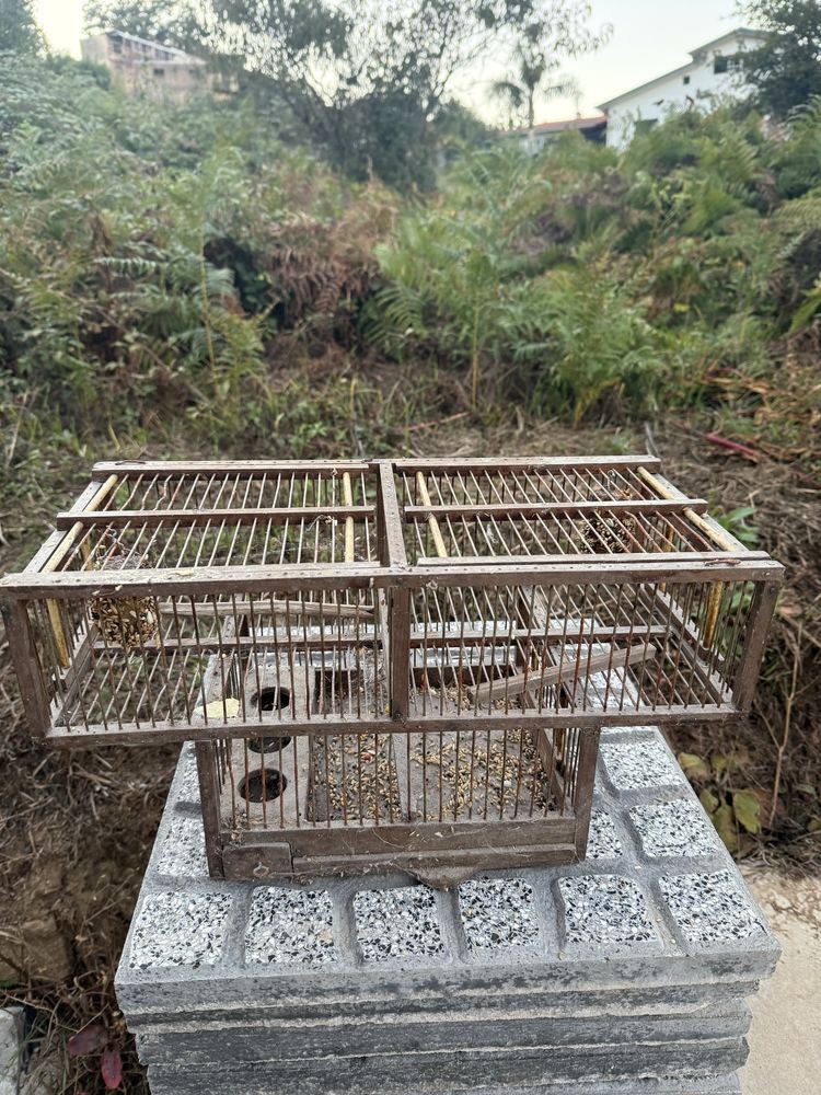 Gaiola em madeira