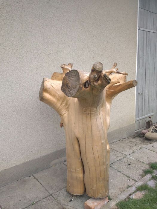 Korzeń ozdobny duży