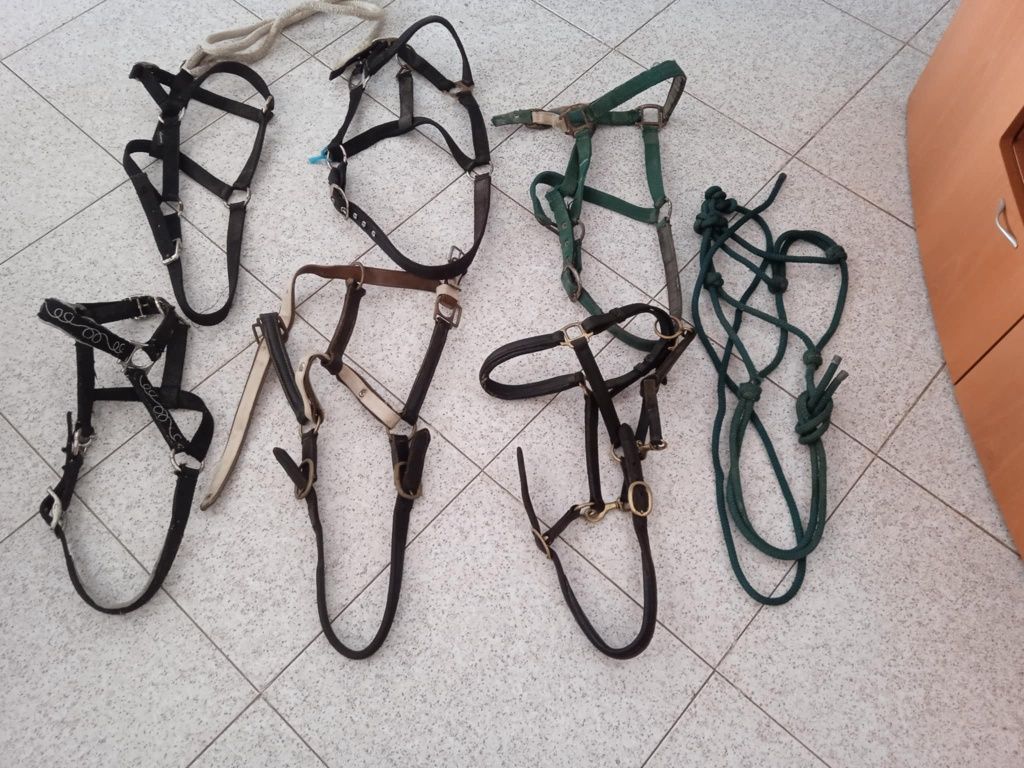 Vendo este material equestre
