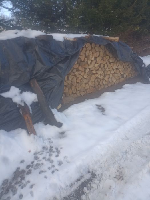 Suche drewno opałowe,kominkowe.