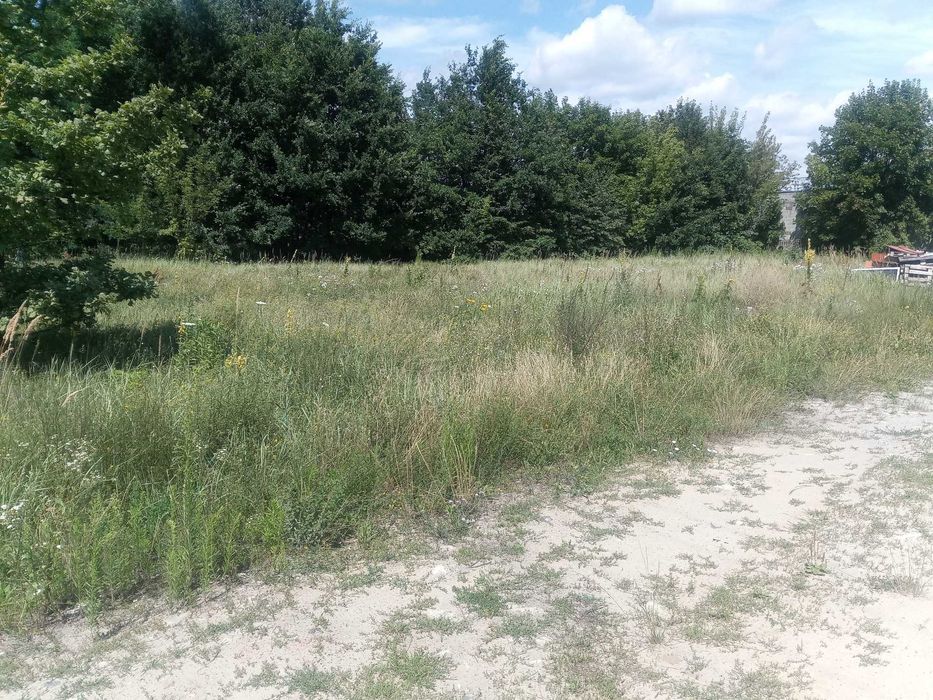 Wynajem placu- parking dla ciężarówek/naczep