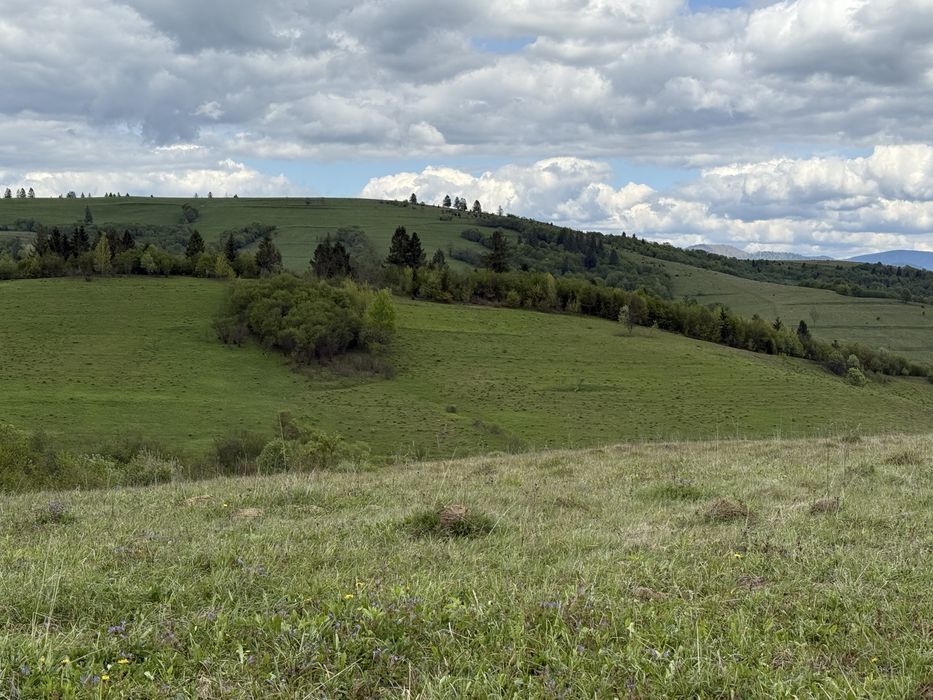 Продається дуже дешево земля у Карпатах