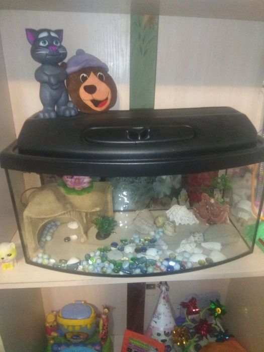 Аквариум на 60 литров.