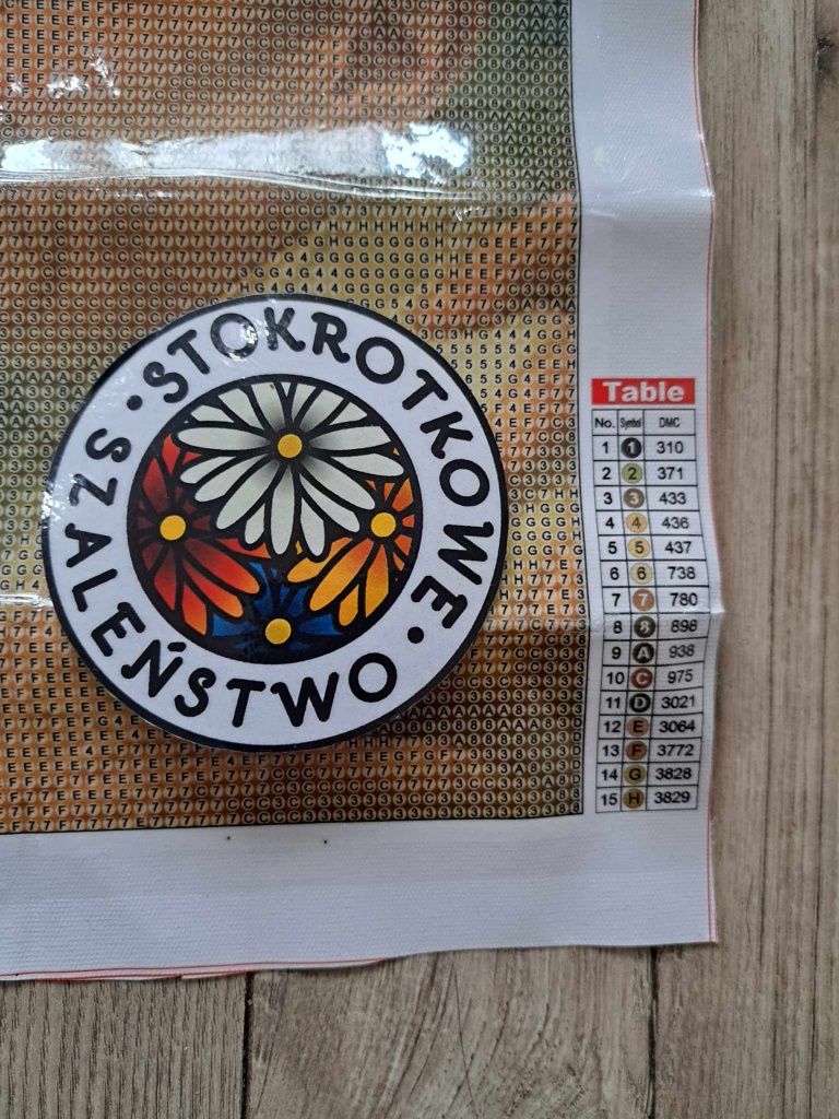 Haft diamentowy 40x60, Spotkanie Papieży