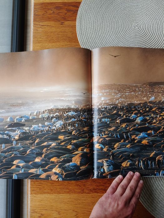 Album fotofraficzny "Born to ice" Paul Nicklen