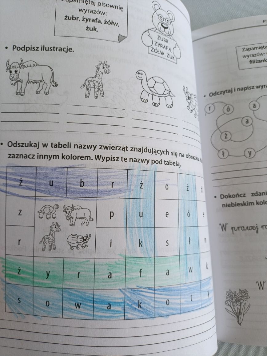 Zestaw książeczek edukacyjnych dla dziecka