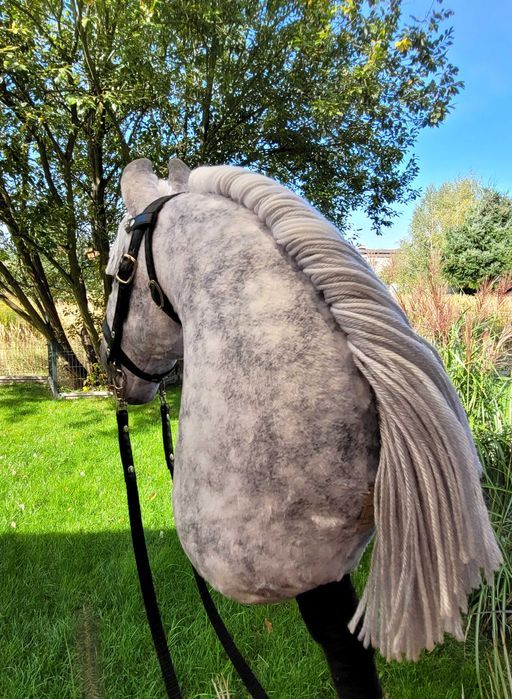 Hobby Horse, Konik na kiju, lekki, A4 jabłkowity #367 dostępny od ręki