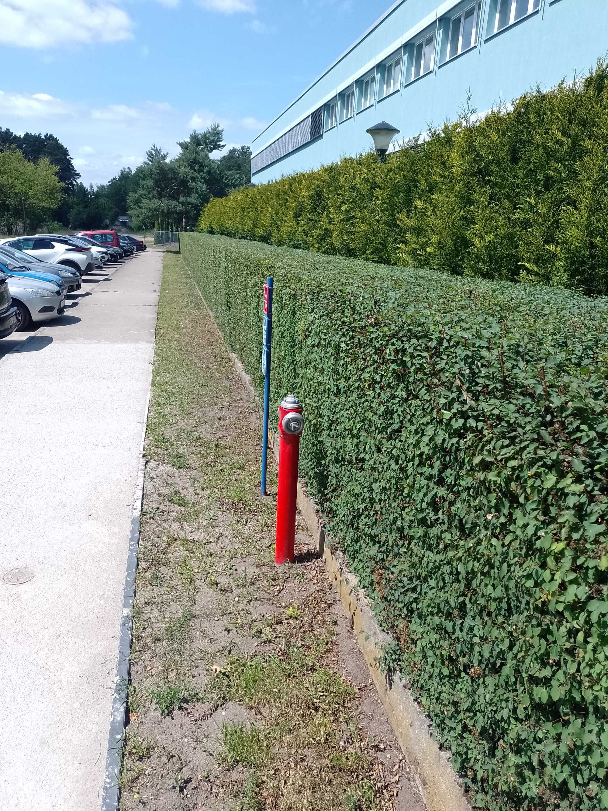 Koszenie traw I zarośli   Pielęgnacja żywopłotów