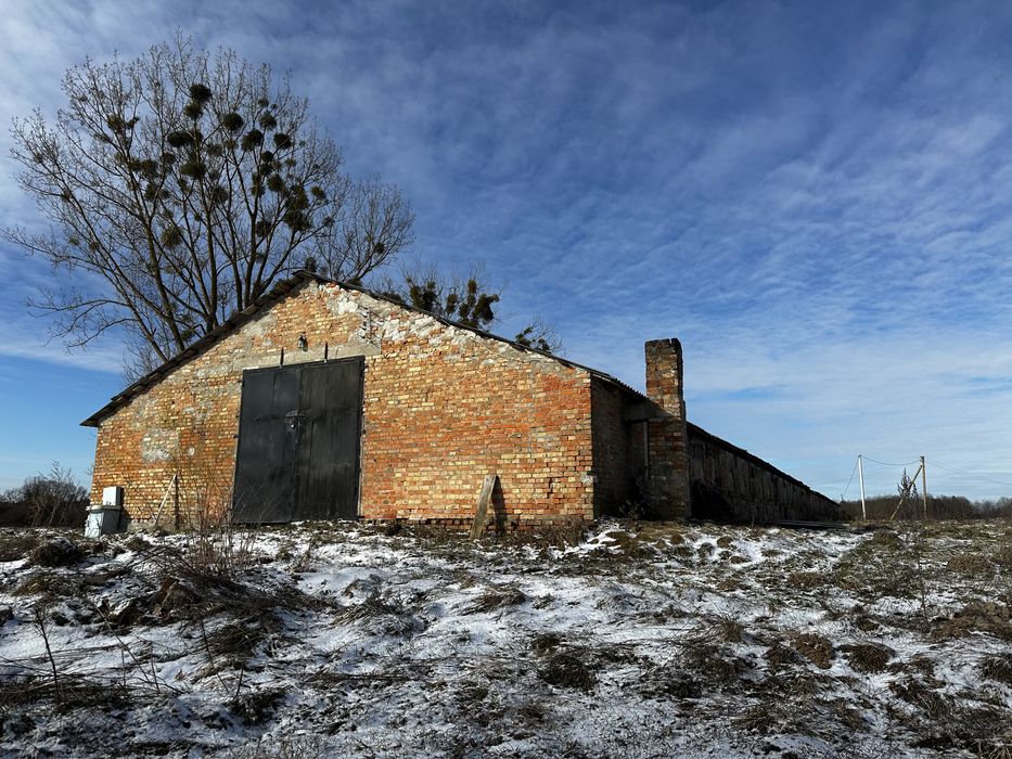 Оренда нежитлового (комерційного) приміщення. Свинокомплекс