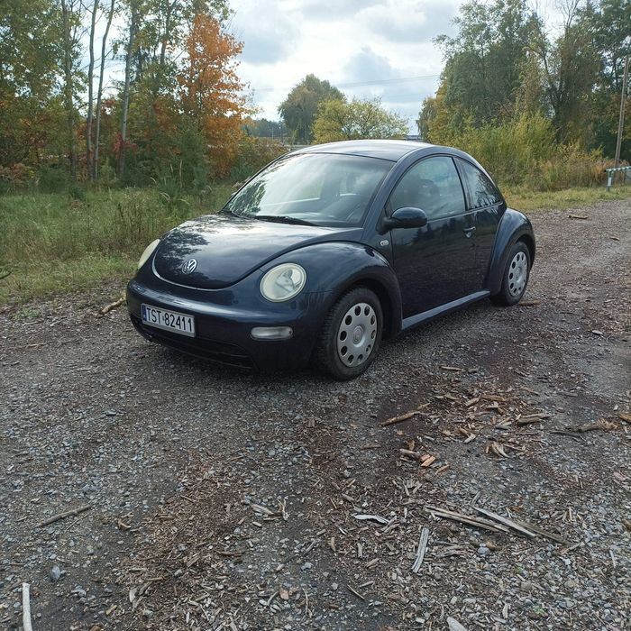 Volkswagen New Beetle