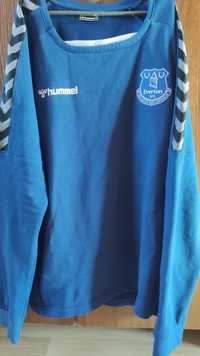 Свитшот Hummel Everton