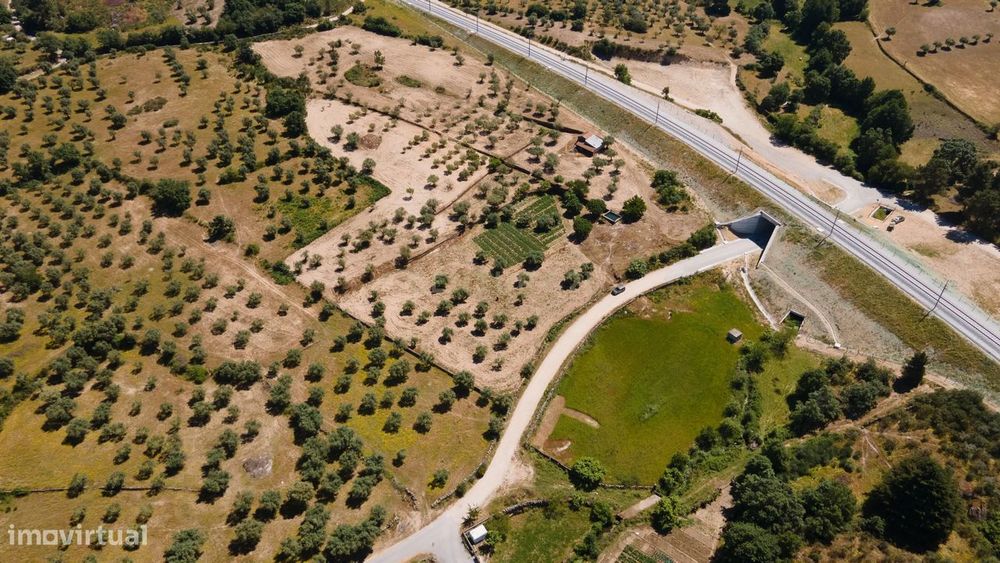 Quintinha agrícola em Celorico da Beira