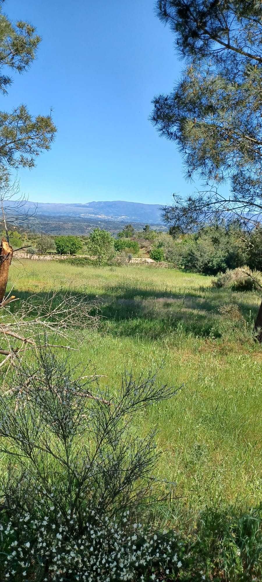 Quinta + Mata com vista para a Serra da Estrela