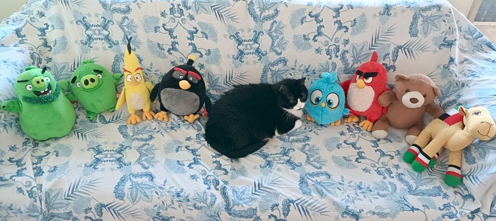 Peluches Angry Birds e outros