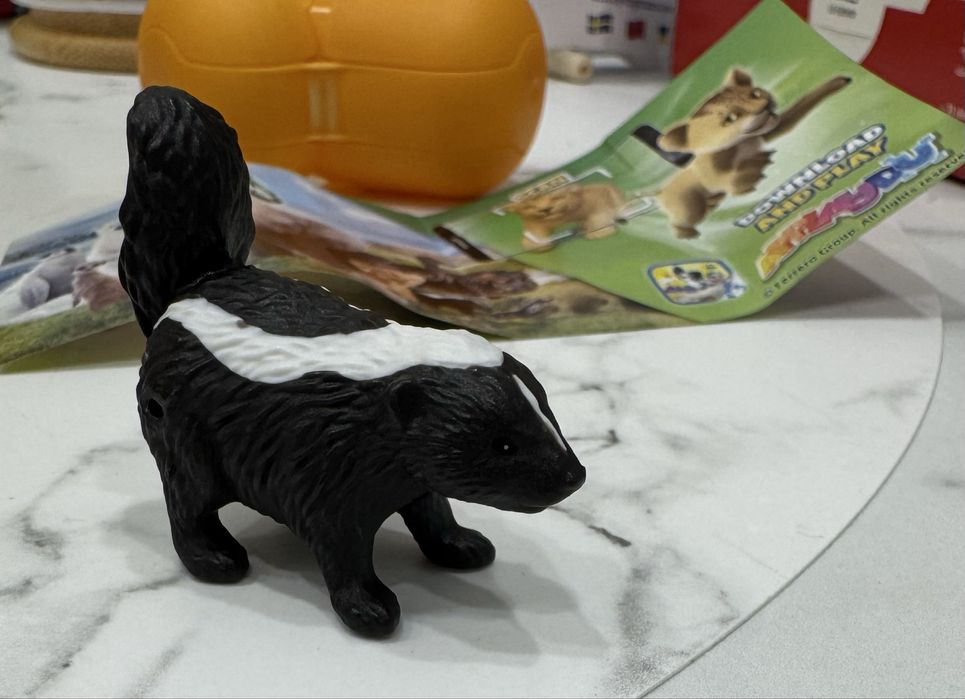 Кіндер натунс обмін, скунс