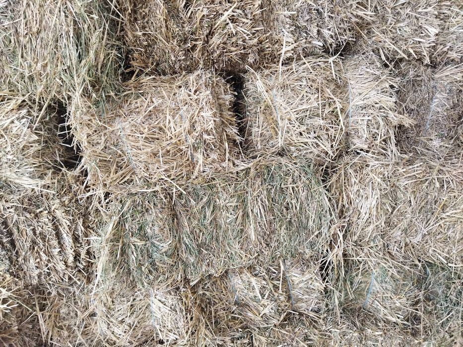 Продам Тюки  соломи