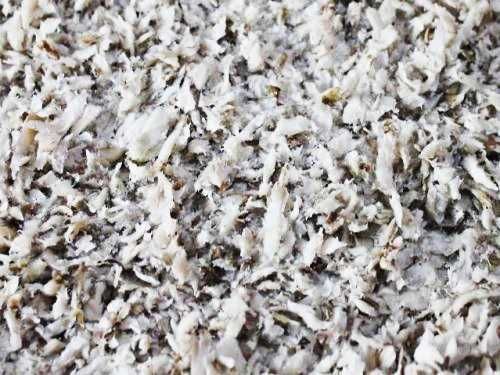 Wysłodki buraczane mokre Kluczewo