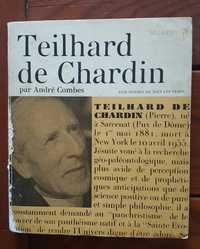 Teilhard de Chardin. Et la sainte évolution