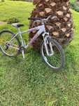 Specialized hardrock