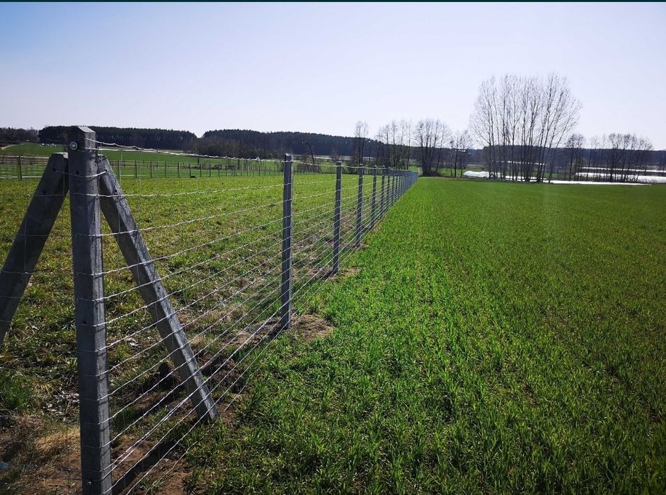 Sprzedaż słupków betonowych 2.20-2.60 producent!