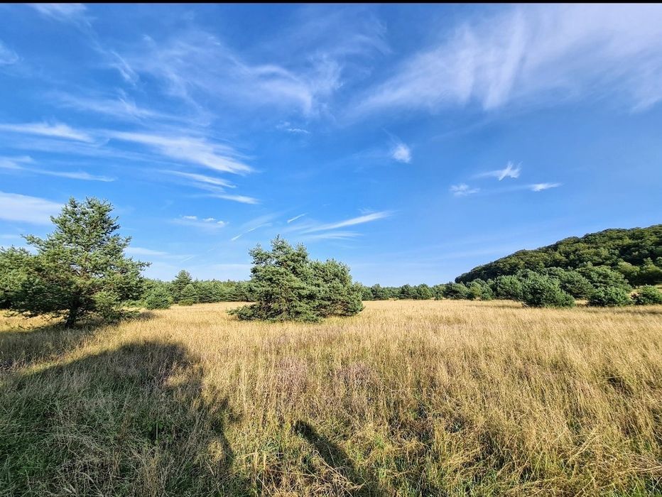 4000m Hutki Kanki * Centuria * Ogrodzieniec * Działka Leśna * Polanka