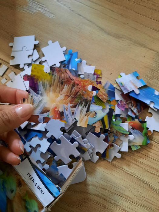 3Д пазли 5+   100 елементів