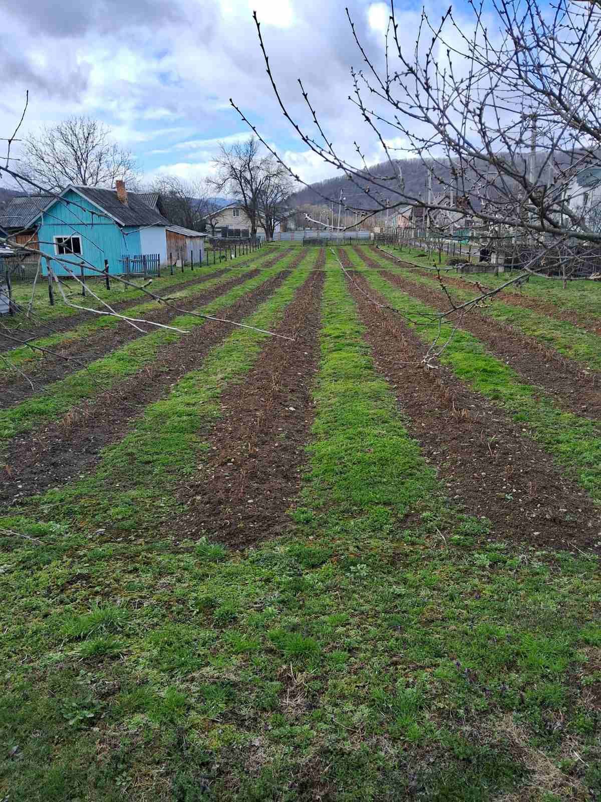 Продаж земельної ділянки