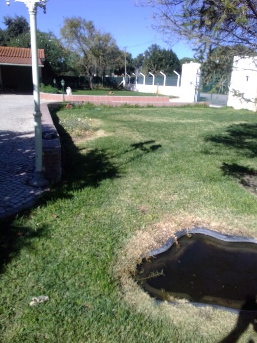 Jardinagem podas e abate de árvores