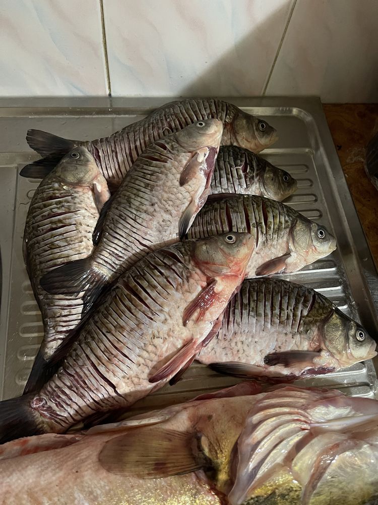 Продаж під замовленя свіжої риби.